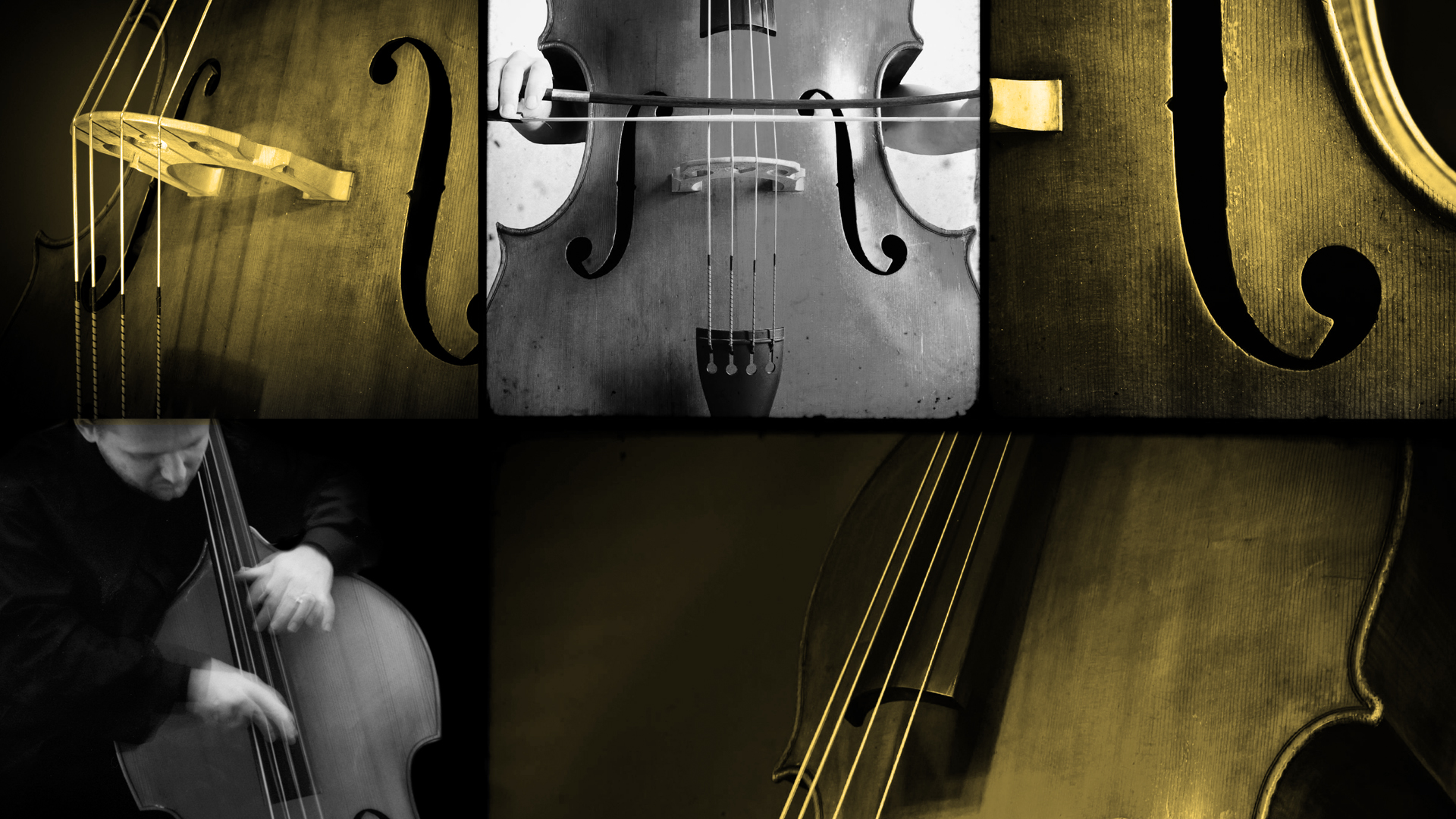 Double Bass Technical Studies Bundle