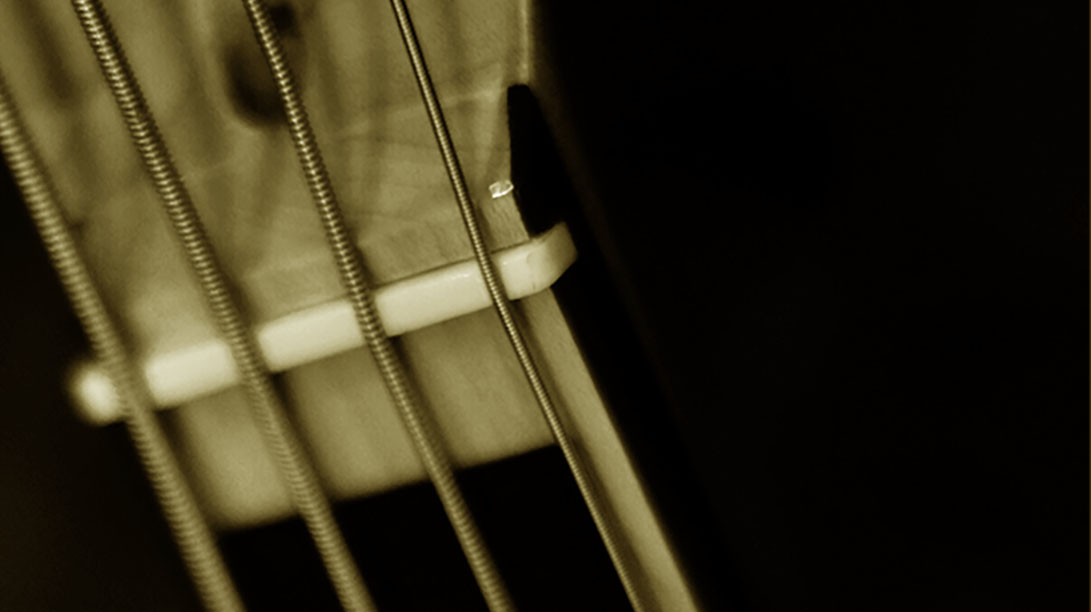 Free Bassguitar Course For Beginners